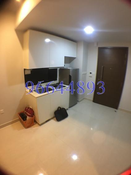 Vibes @ East Coast (D15), Apartment #161281932